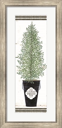 Framed Cedar Tree Print