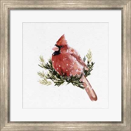 Framed Cardinal with Snow II Print