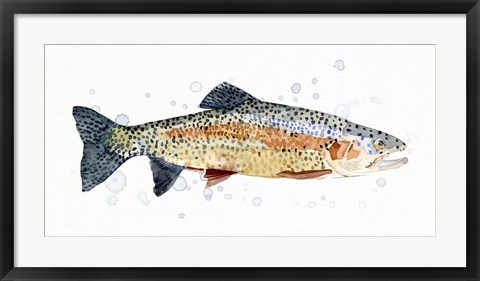 Framed Watercolor Rainbow Trout I Print