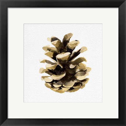 Framed Conifer Cone II Print