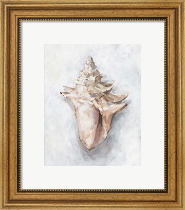 Framed White Shell Study I Print