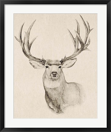 Framed Natural Buck II Print