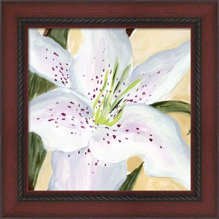 Framed White Lily I Print