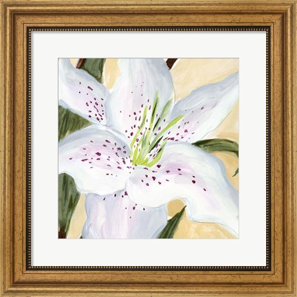 Framed White Lily I Print