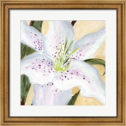 Framed White Lily I Print