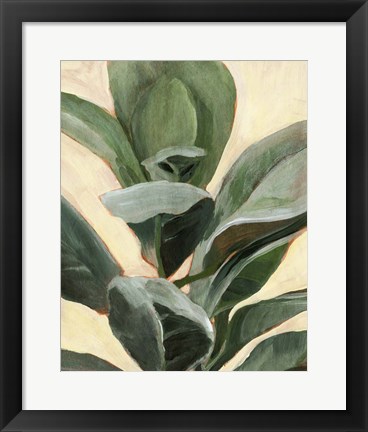 Framed Plant Study II Print