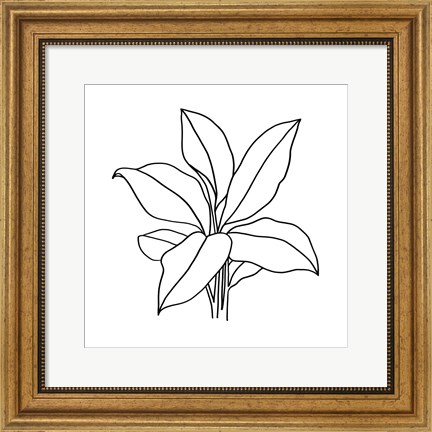 Framed Foliage Contour II Print