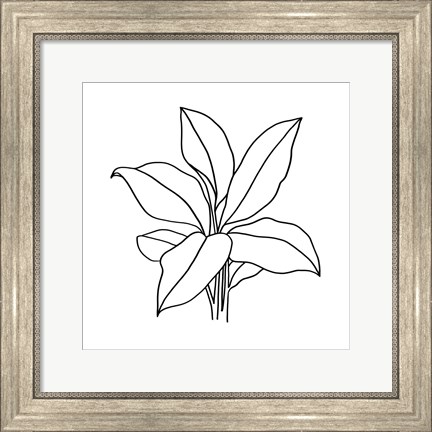 Framed Foliage Contour II Print