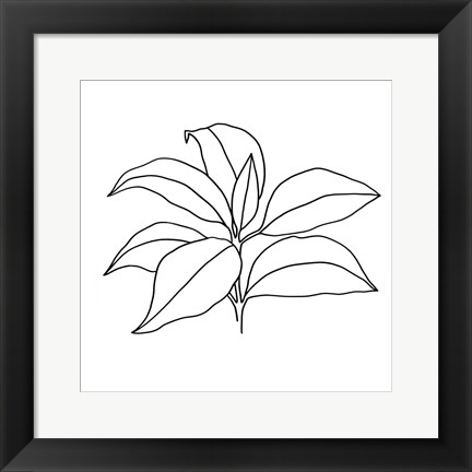 Framed Foliage Contour III Print