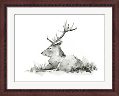 Framed Recumbent Stag II Print