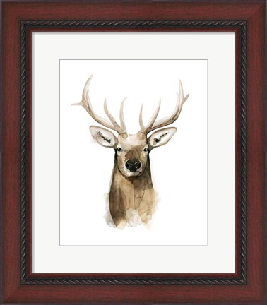 Framed Watercolor Elk Portrait I Print