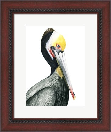 Framed Watercolor Pelican I Print
