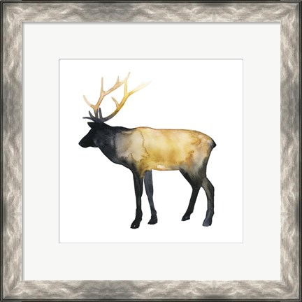 Framed Elk Aglow I Print