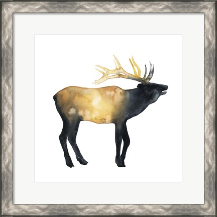 Framed Elk Aglow II Print