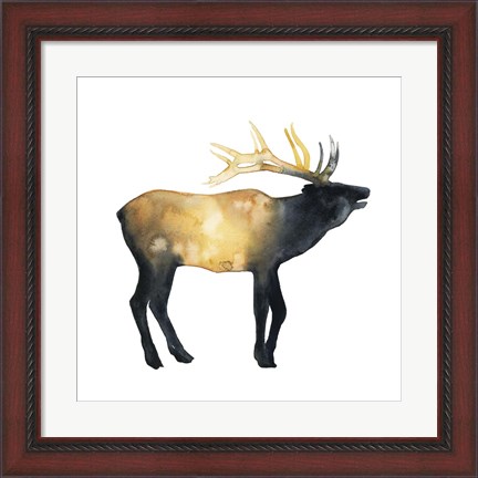 Framed Elk Aglow II Print