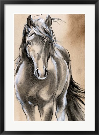 Framed Sketched Horse II Print