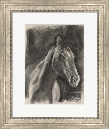 Framed Charcoal Horse Study on Grey I Print