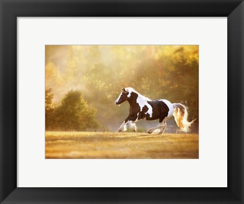 Framed Golden Lit Horse II Print