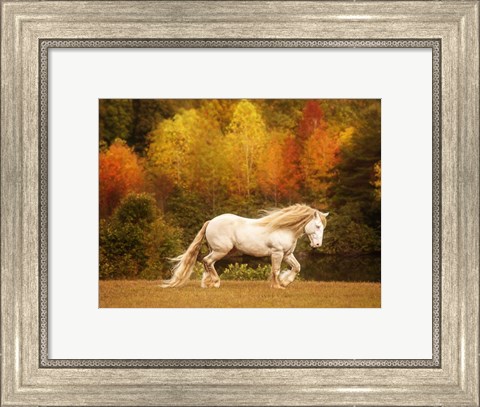 Framed Golden Lit Horse VI Print