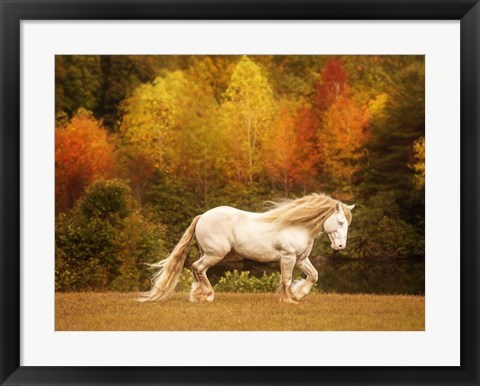 Framed Golden Lit Horse VI Print