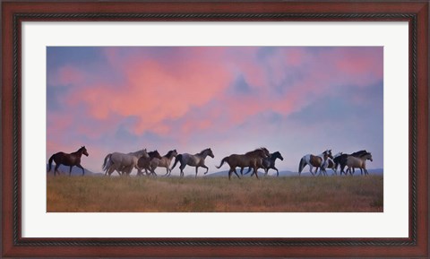 Framed Horse Run VIII Print