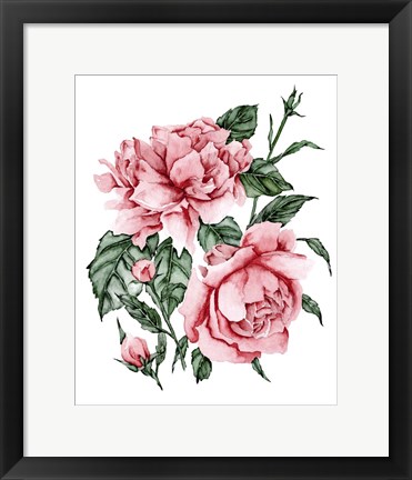 Framed Roses are Red II Print