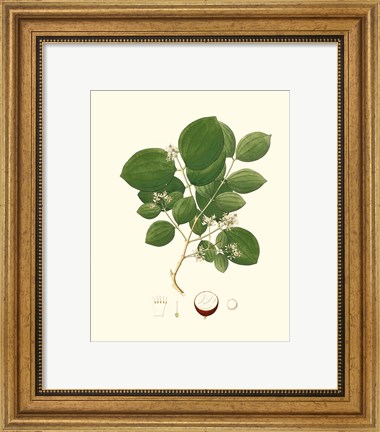 Framed Spring Green Foliage I Print