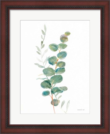 Framed Greenery III Print