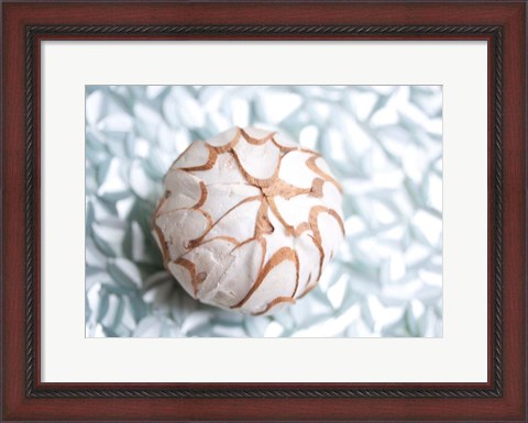 Framed Shimmer Shells I Print