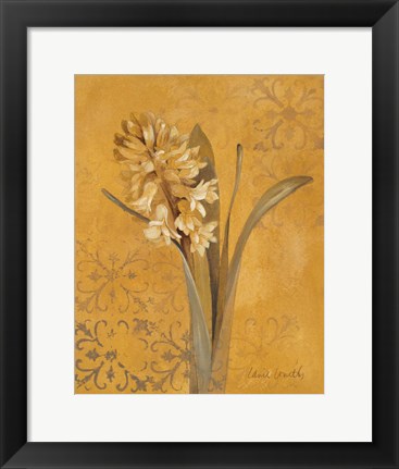 Framed Hyacinth I Print