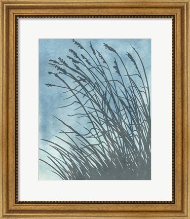 Framed Tall Grasses on Blue I Print