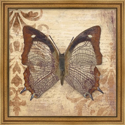 Framed Butterfly Print