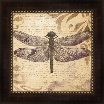 Framed Dragonfly Print