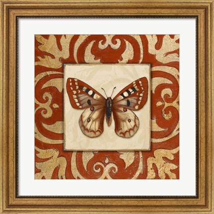 Framed Moroccan Butterfly I Print