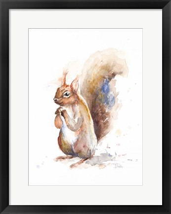 Framed Squirrel Print