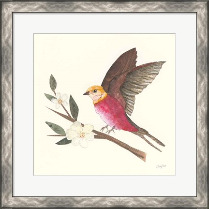 Framed Birds and Blossoms IV Print