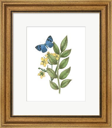 Framed Greenery Butterflies IV Print