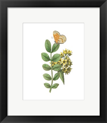 Framed Greenery Butterflies II Print