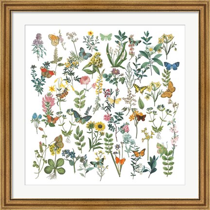 Framed Flowers and Butterflies Print