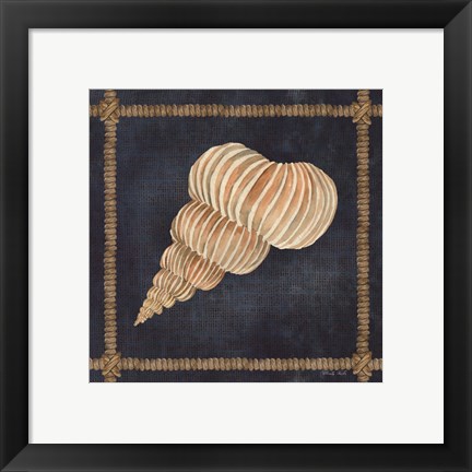 Framed Seashell on Navy III Print