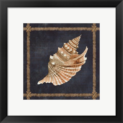 Framed Seashell on Navy V Print