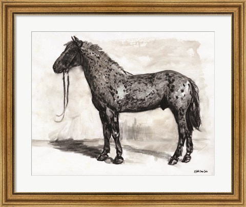 Framed Horse Study 2 Print