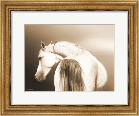 Framed Handsome Dash Print