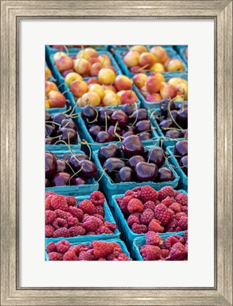 Framed Cherries and Berries Print