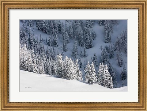 Framed North Cascades in Winter III Print