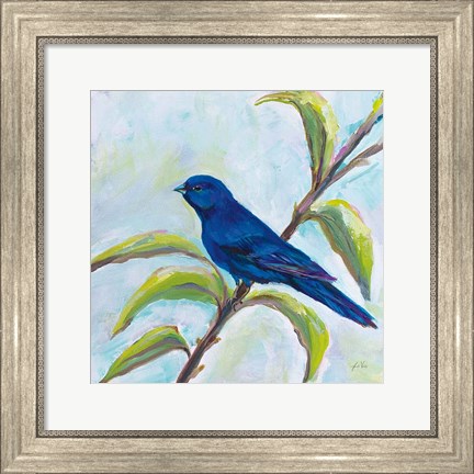 Framed Indigo Bunting Print