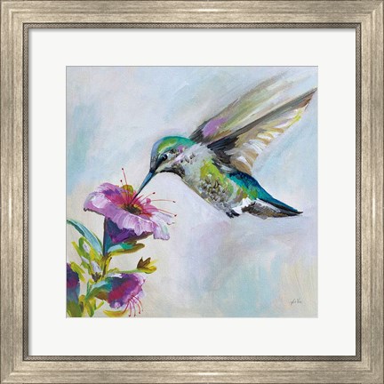 Framed Hummingbird II Print