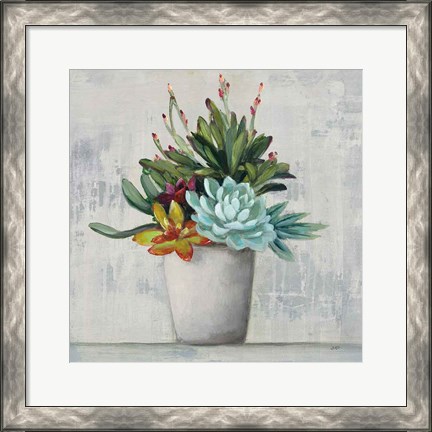 Framed Succulent Still Life I Print