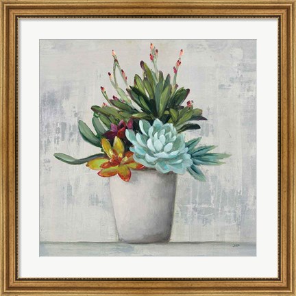 Framed Succulent Still Life I Print