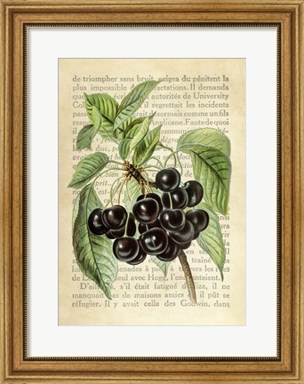 Framed Cherries, After J. Wright Print